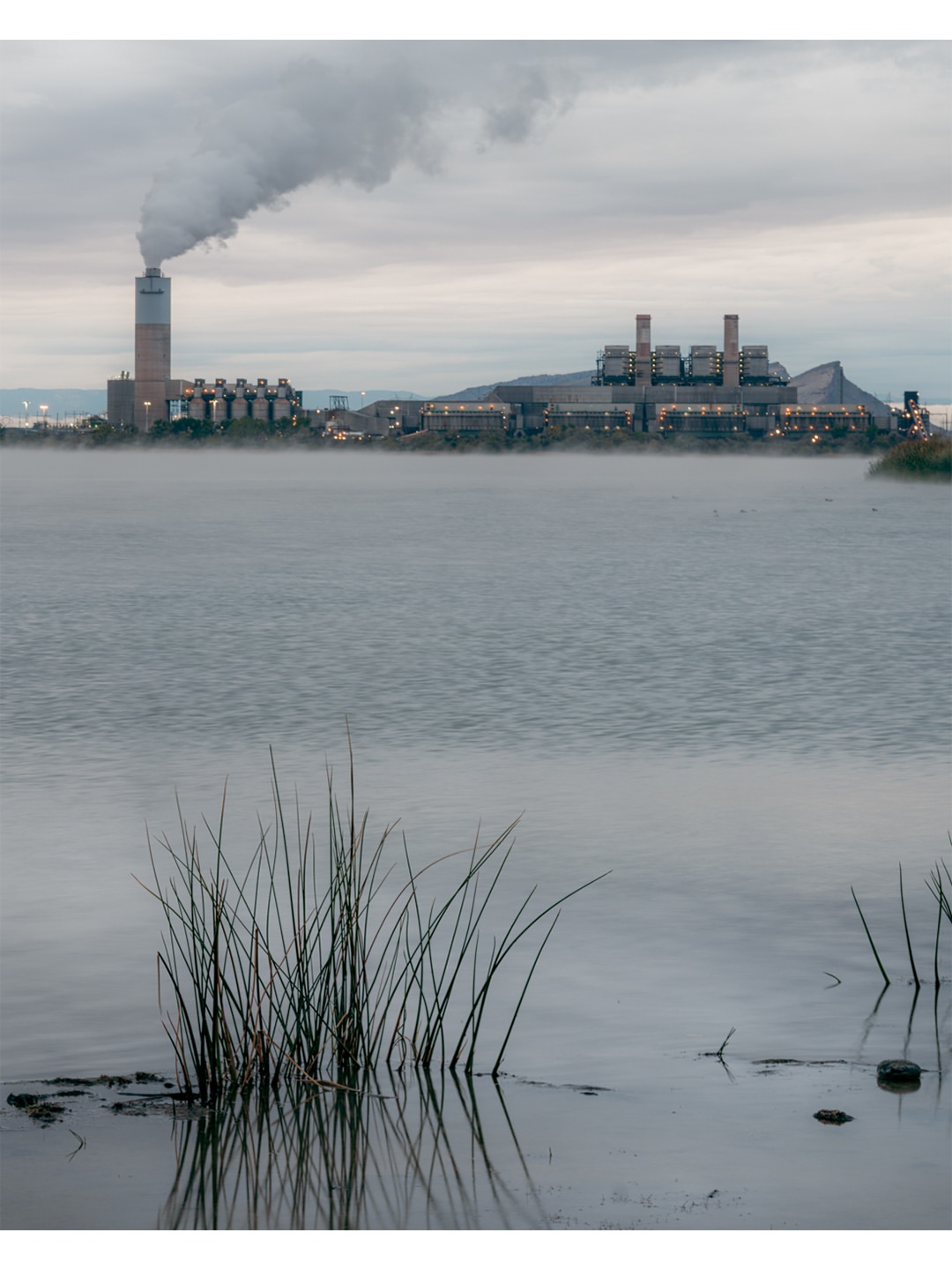 The New York Times |  Feb. 26