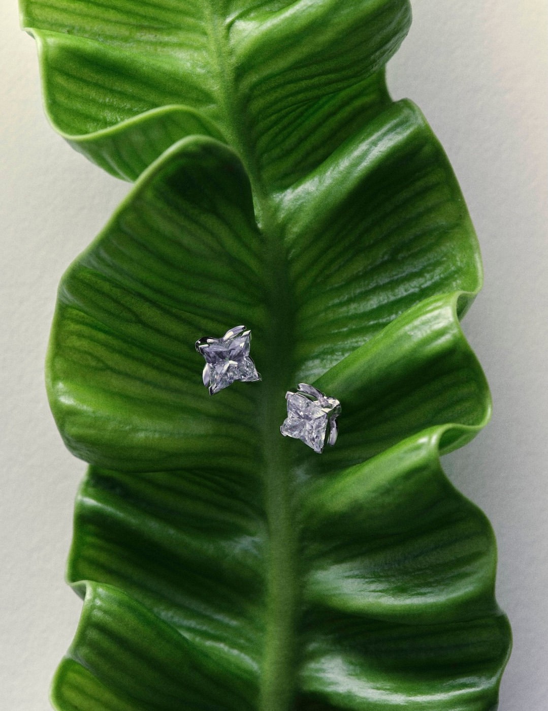 Flaunt Magazine |  Mar. 26