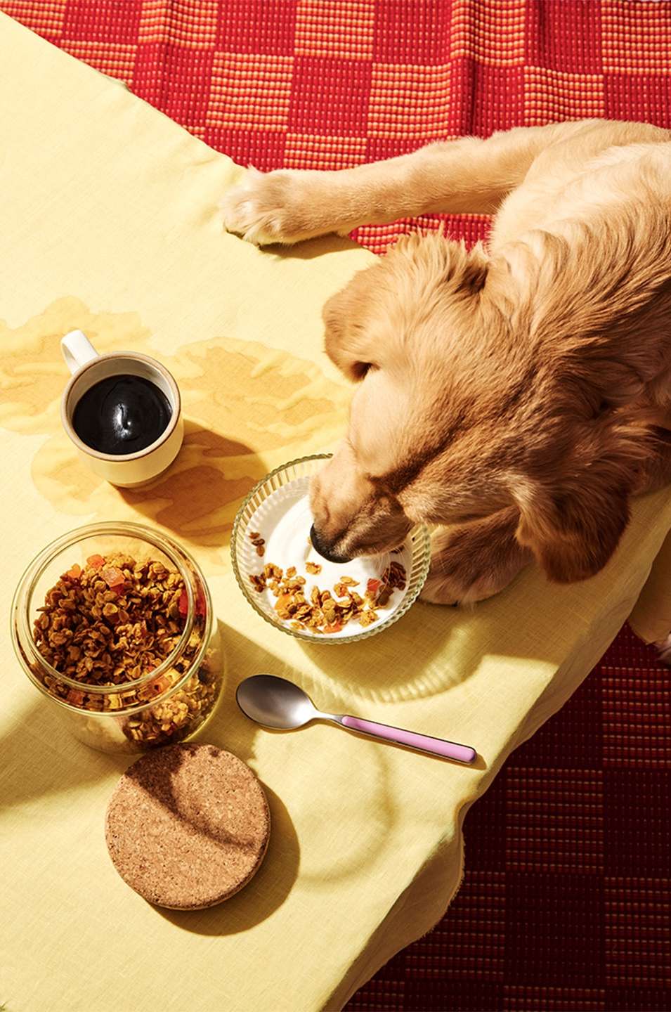 Isa Zapata X Cookbook Magazine