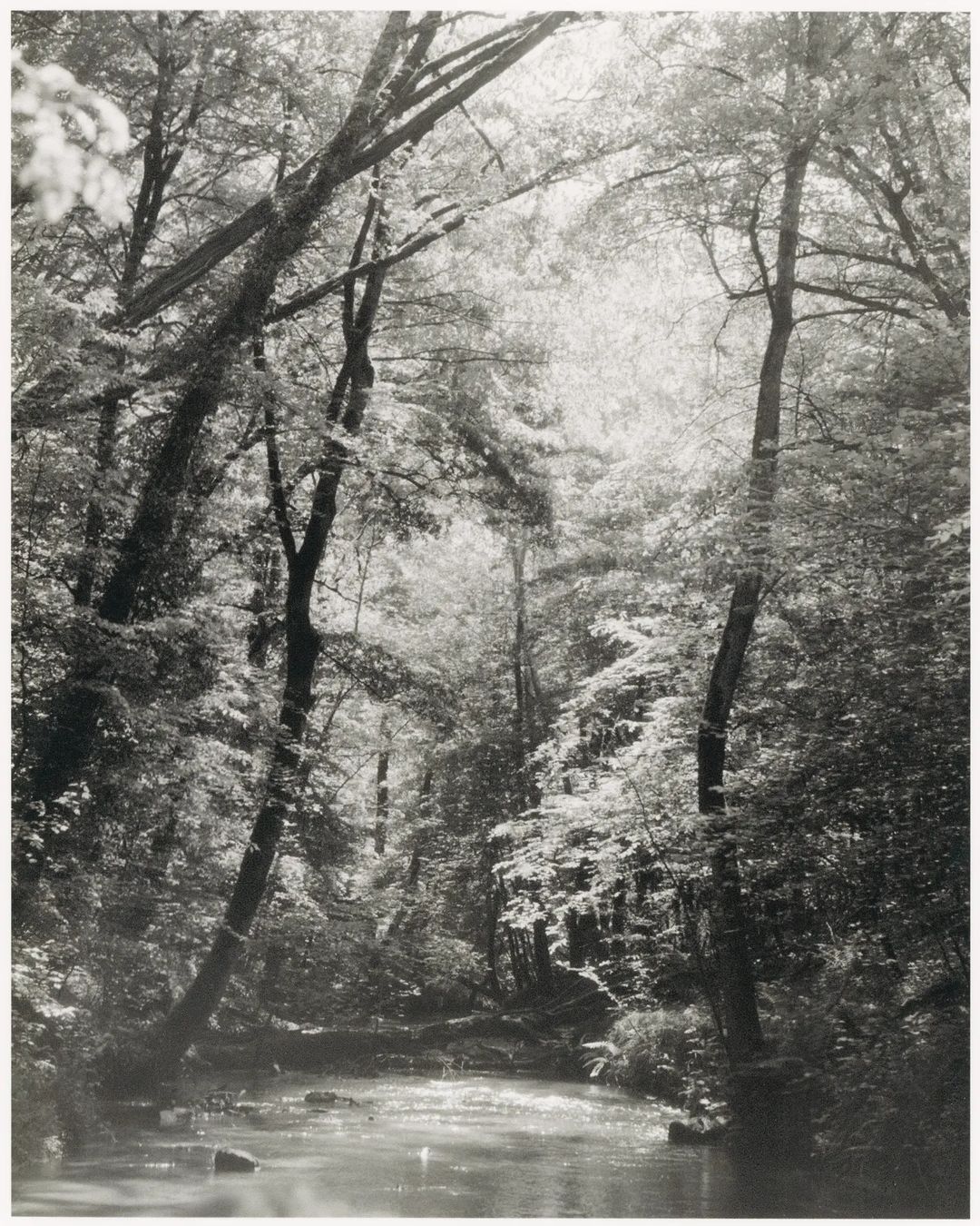 Regain Magazine |  Jul. 23