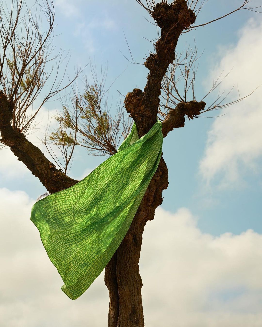 Duel Magazine |  Jun. 22