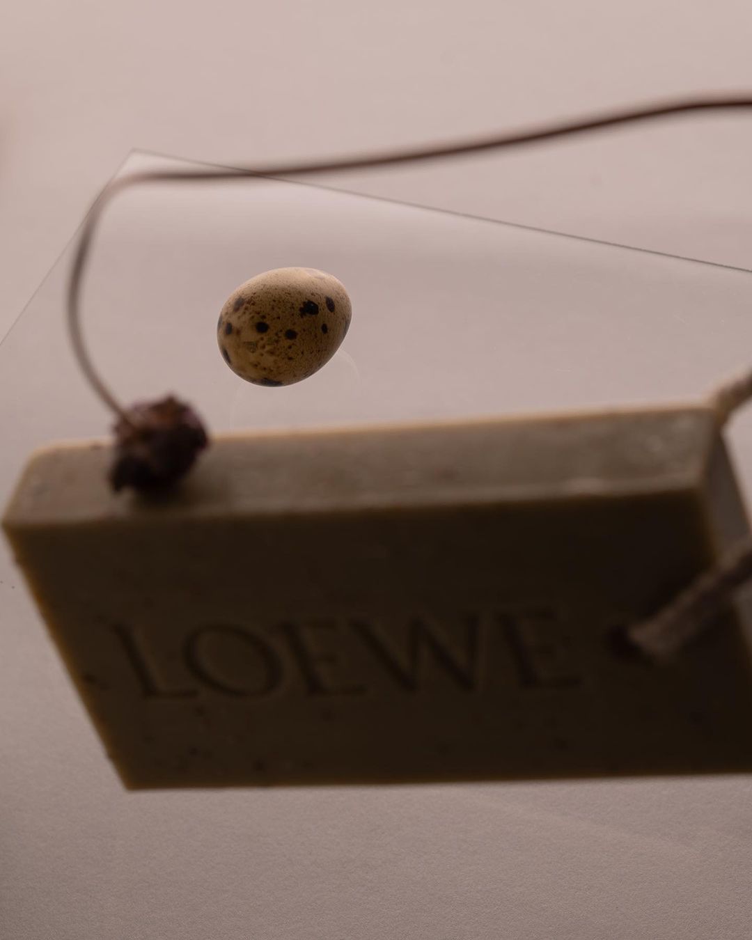 LOEWE Perfumes |  Nov. 23