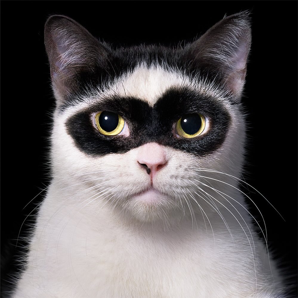Tim Flach