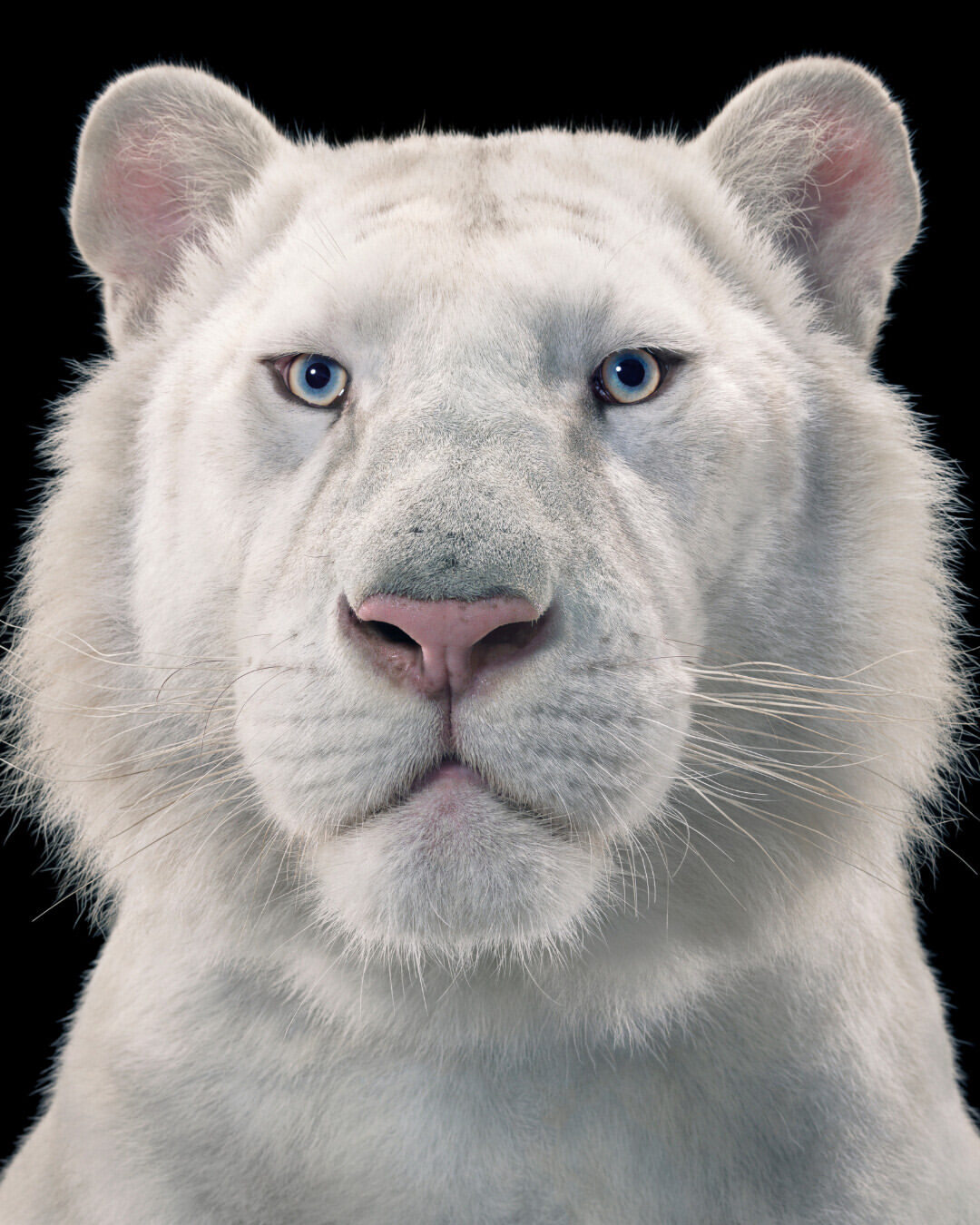 Tim Flach X GEO Jan. 26