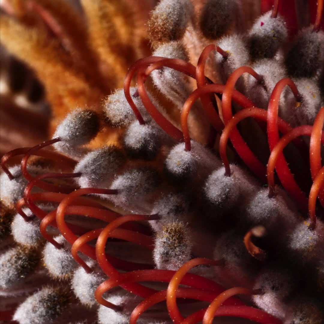 Paloma Rincon Oct. 25