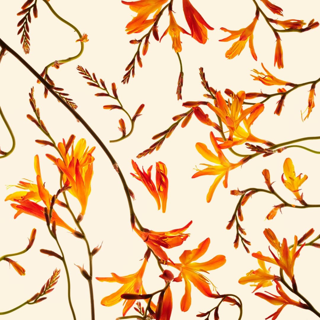 Paloma Rincon Oct. 25