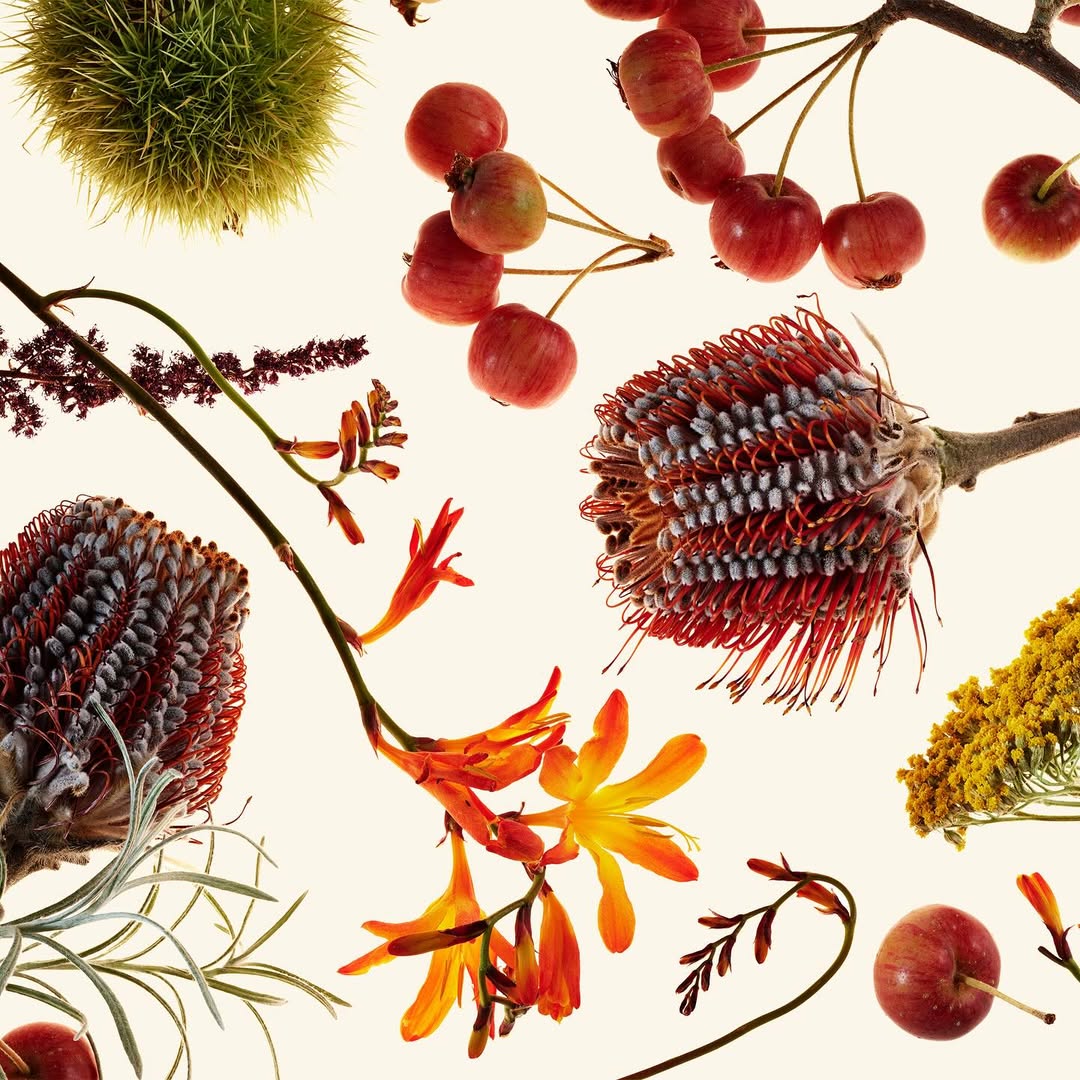 Paloma Rincon Oct. 25