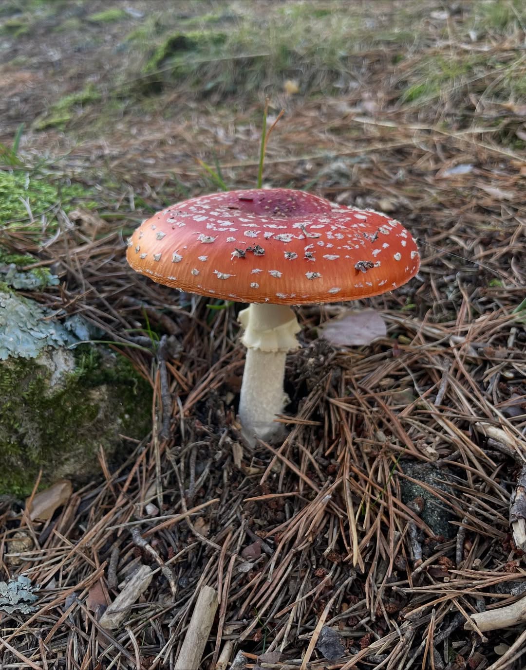 Paloma Rincon Oct. 25