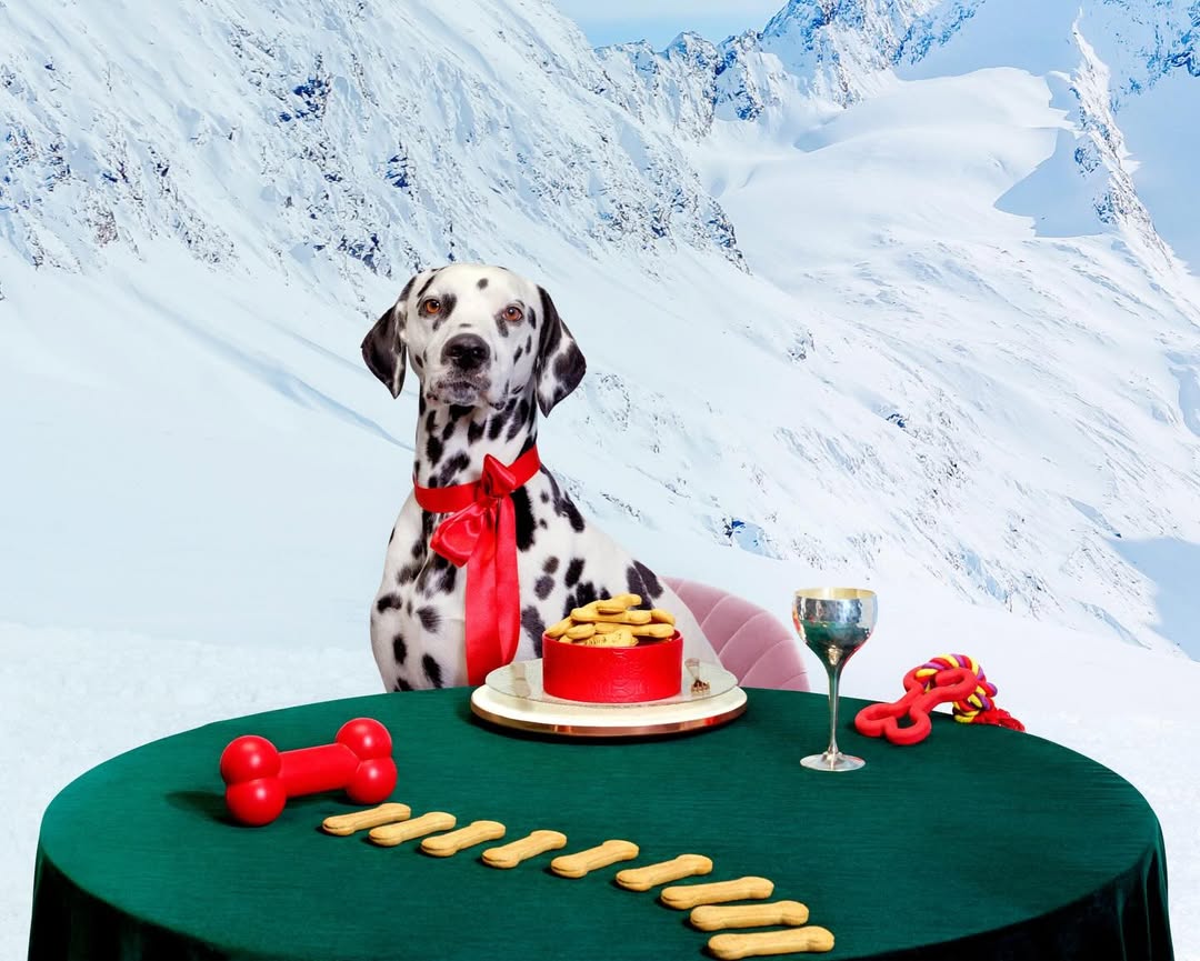 Paloma Rincon X TJ Maxx Nov. 25