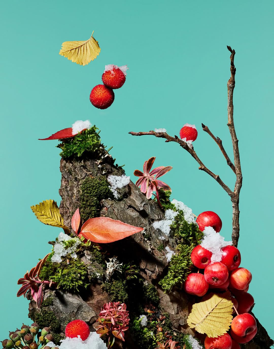 Paloma Rincon Dec. 25