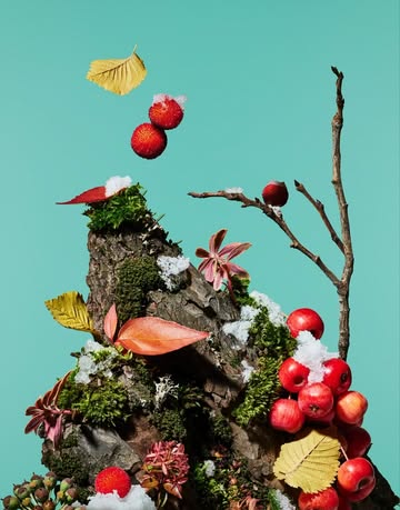 Paloma Rincon Dec. 25