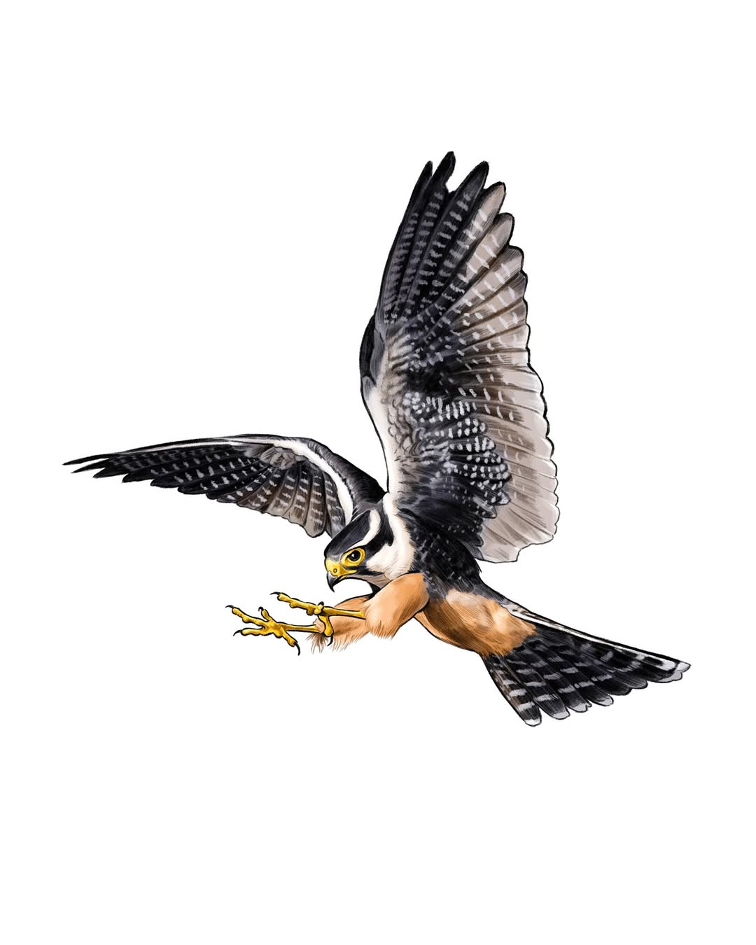 Tim Tomkinson X Garden & Gun Oct. 25