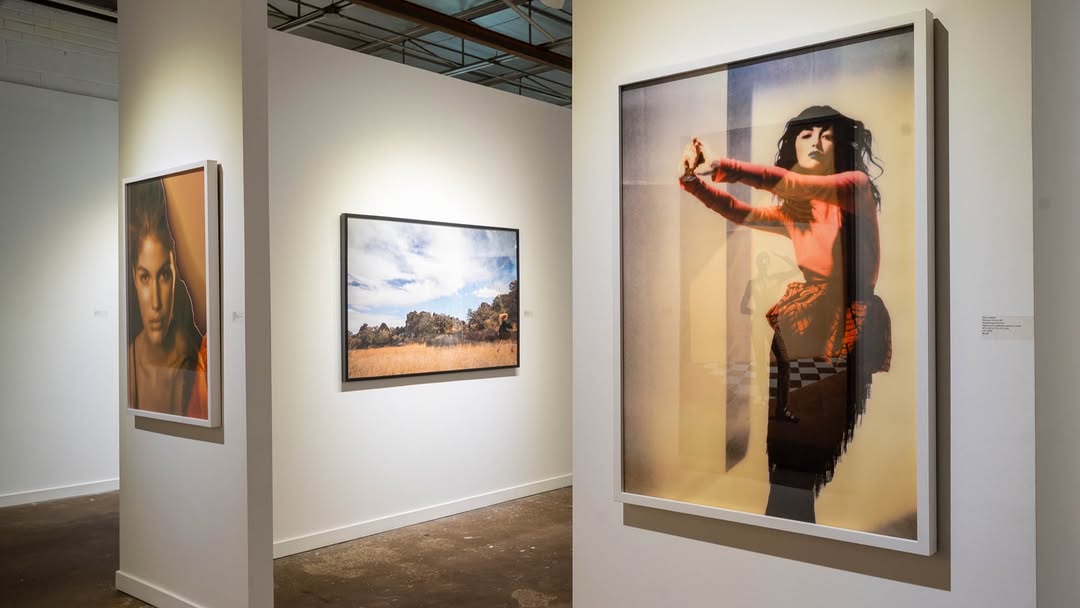 Thom Jackson X Bardin Gallery