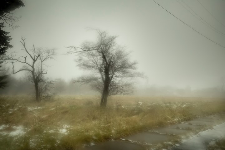 Leica Camera |  Jan. 24