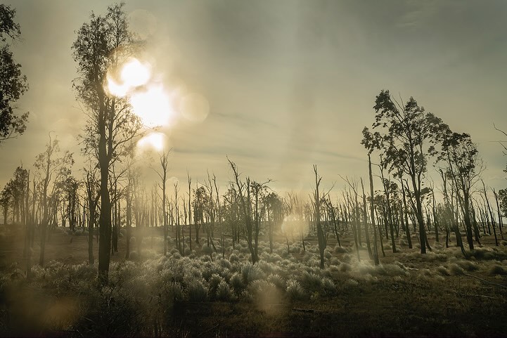 Leica Camera |  Jan. 24