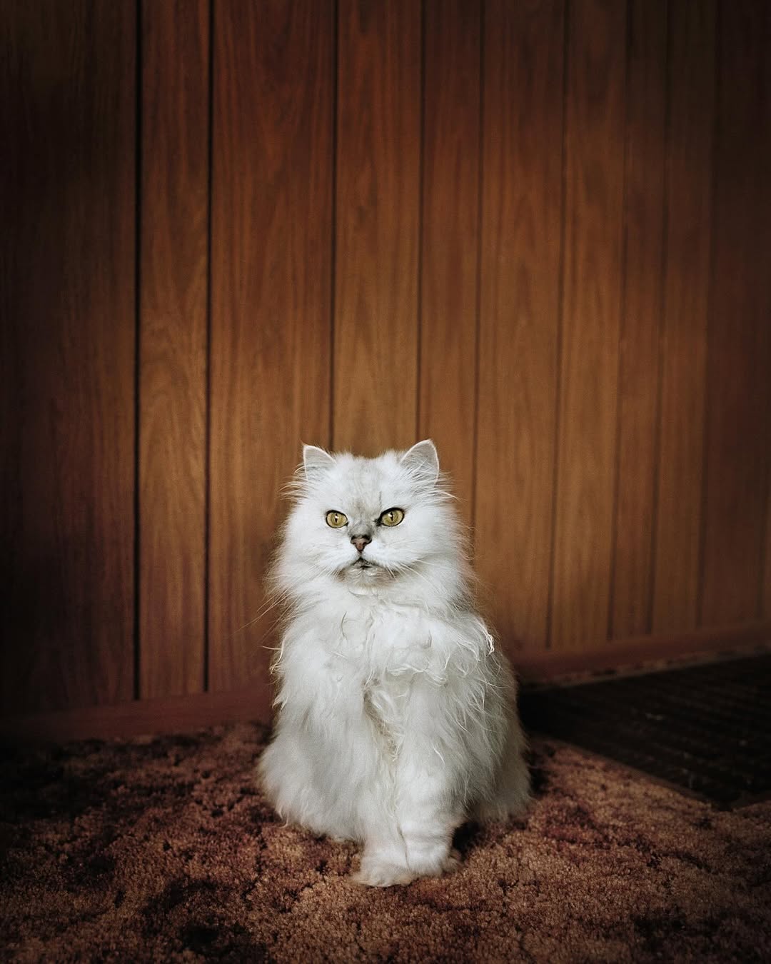 Todd Hido Sep. 25