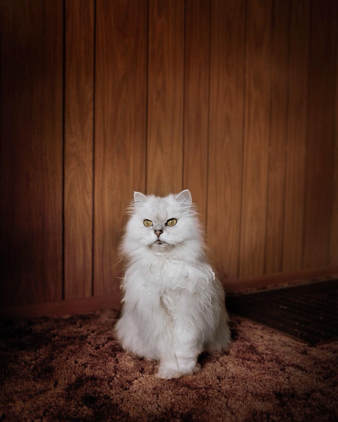 Todd Hido
