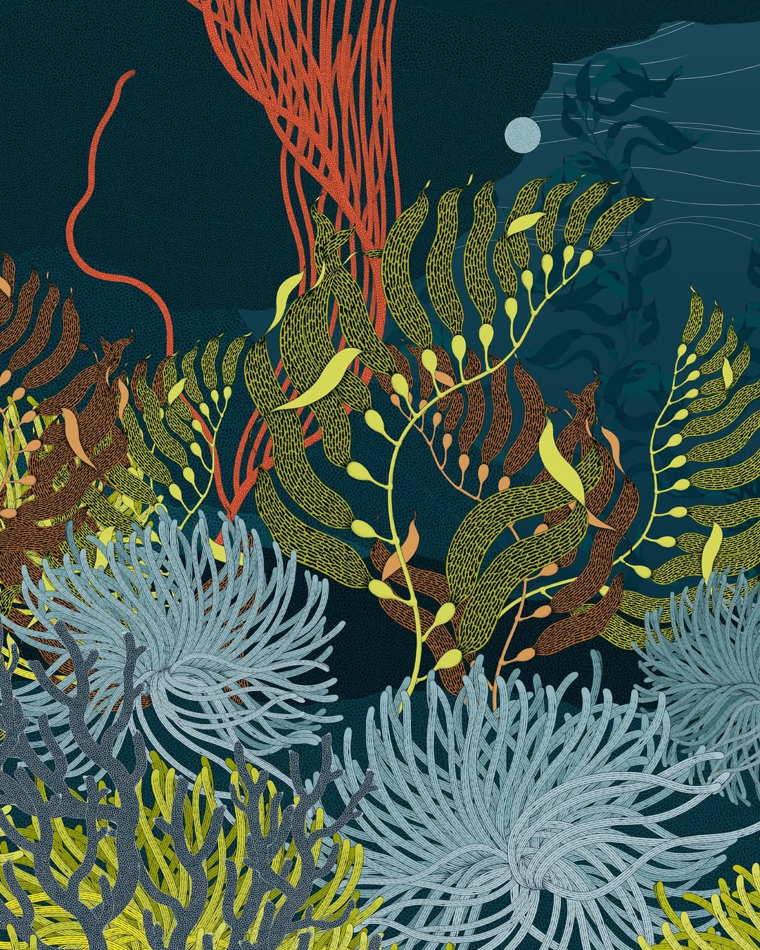 Suthipa Kamyam Jan. 26