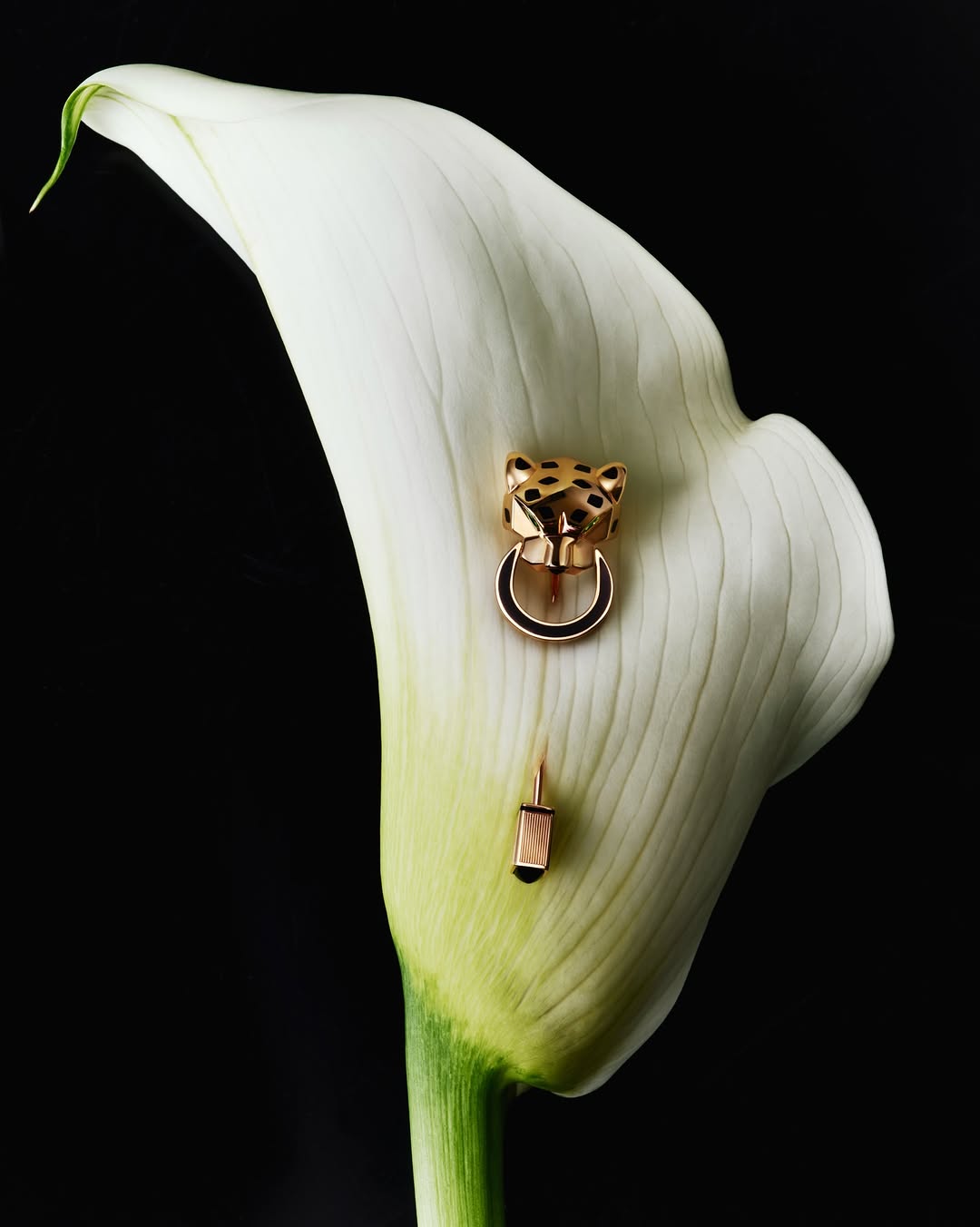 Leandro Farina X Harrods