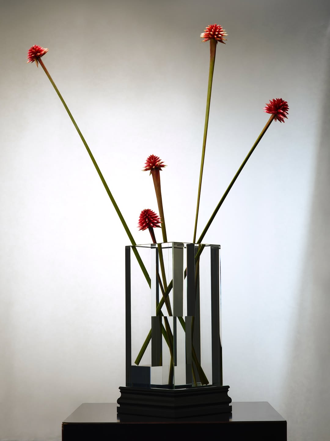 Leandro Farina X Harrods Apr. 26