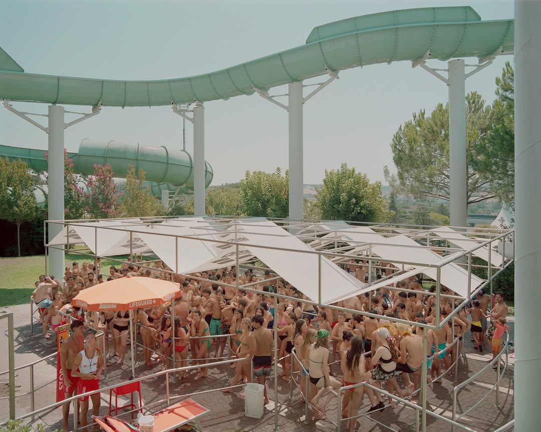 Polly Tootal X INLAND