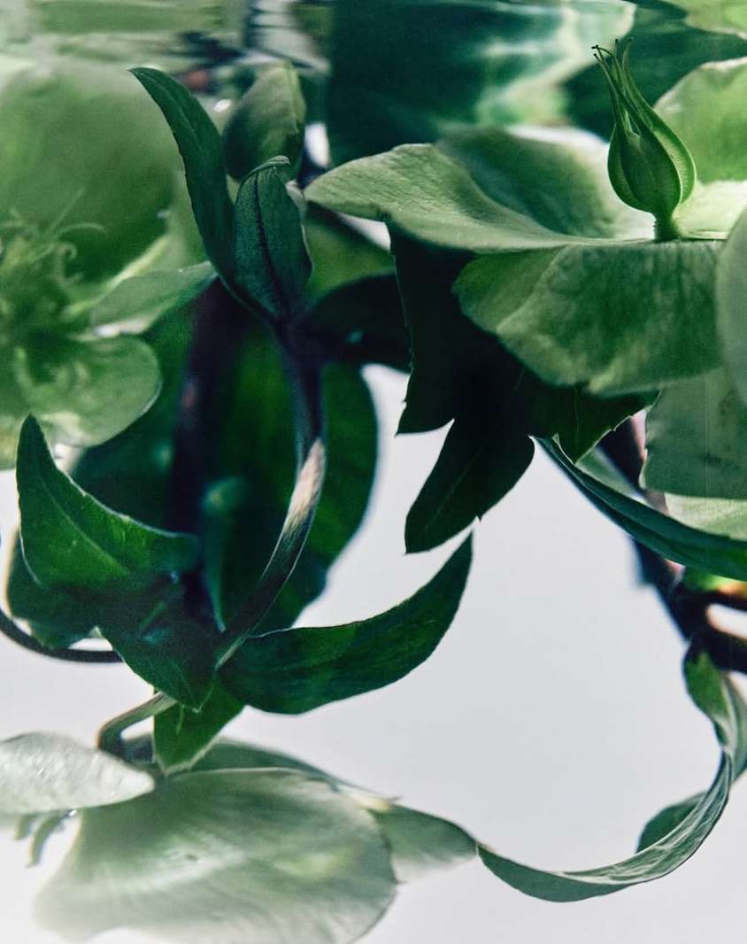 Tom Brannigan X Miller Harris Perfumer London Mar. 26