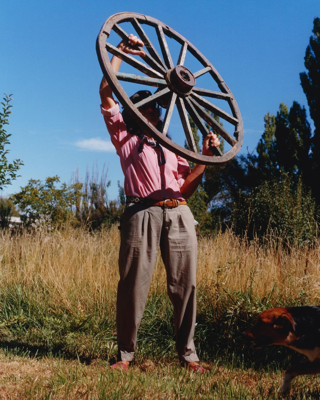 The Plant |  Jun. 23