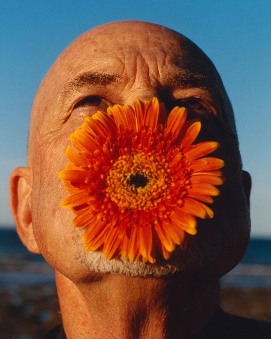 The Plant |  Jun. 23