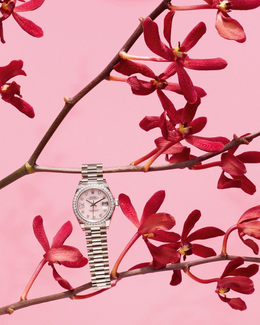 Vogue France |  Oct. 22