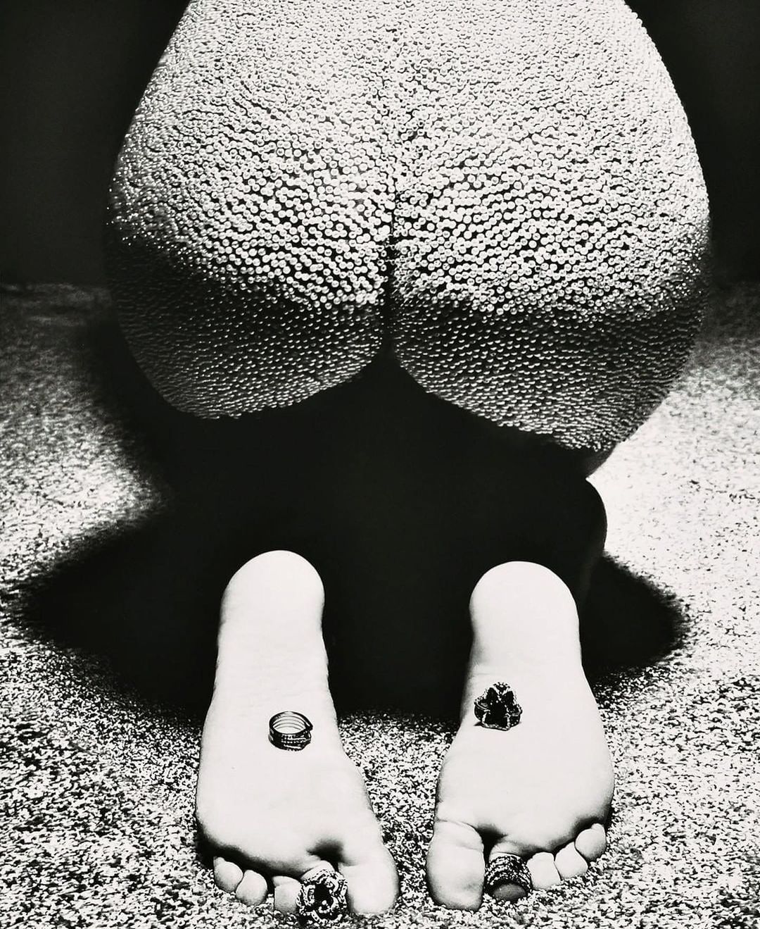 M Le Monde |  Nov. 22