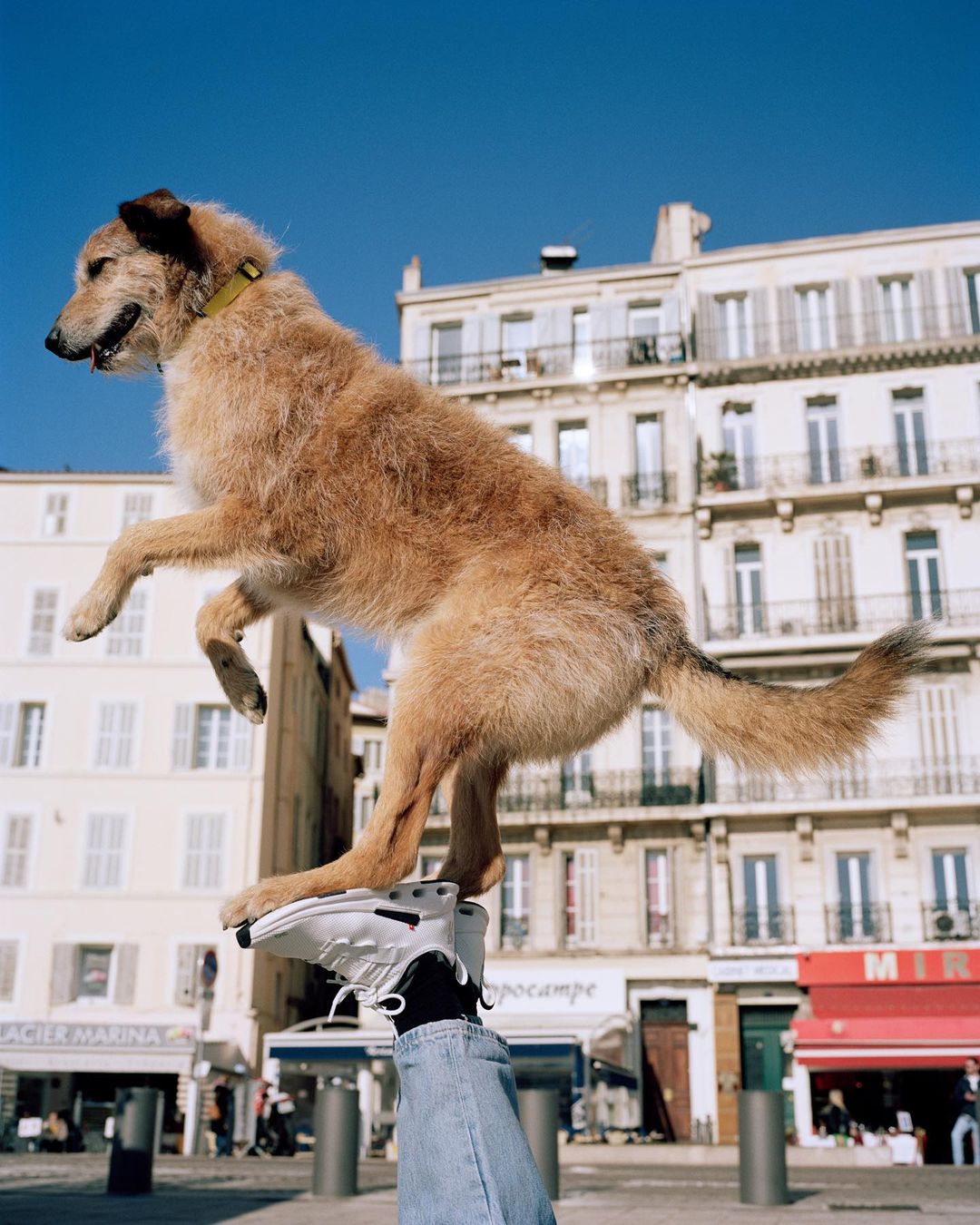 On Running |  Mar. 23