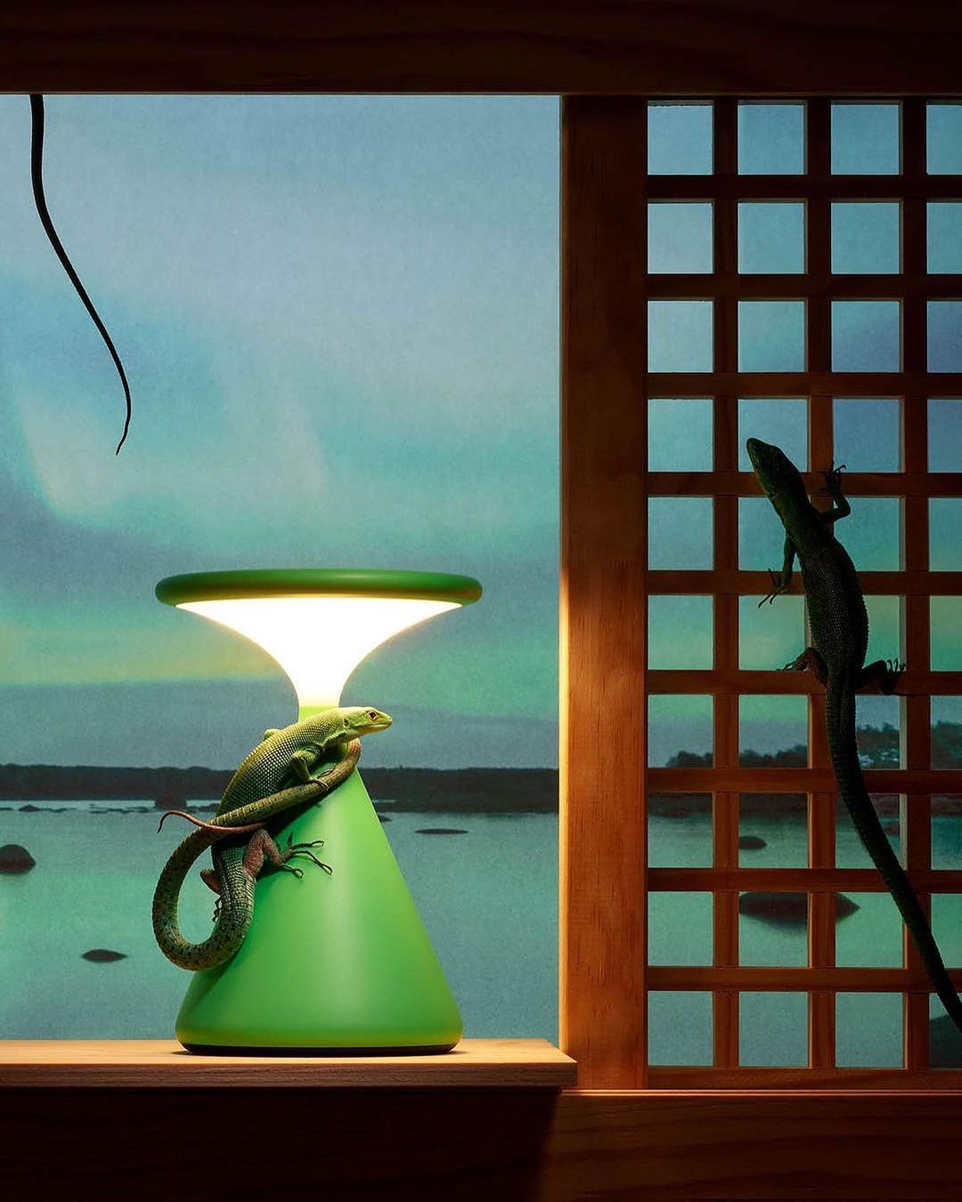 PIN-UP HOME |  Nov. 23