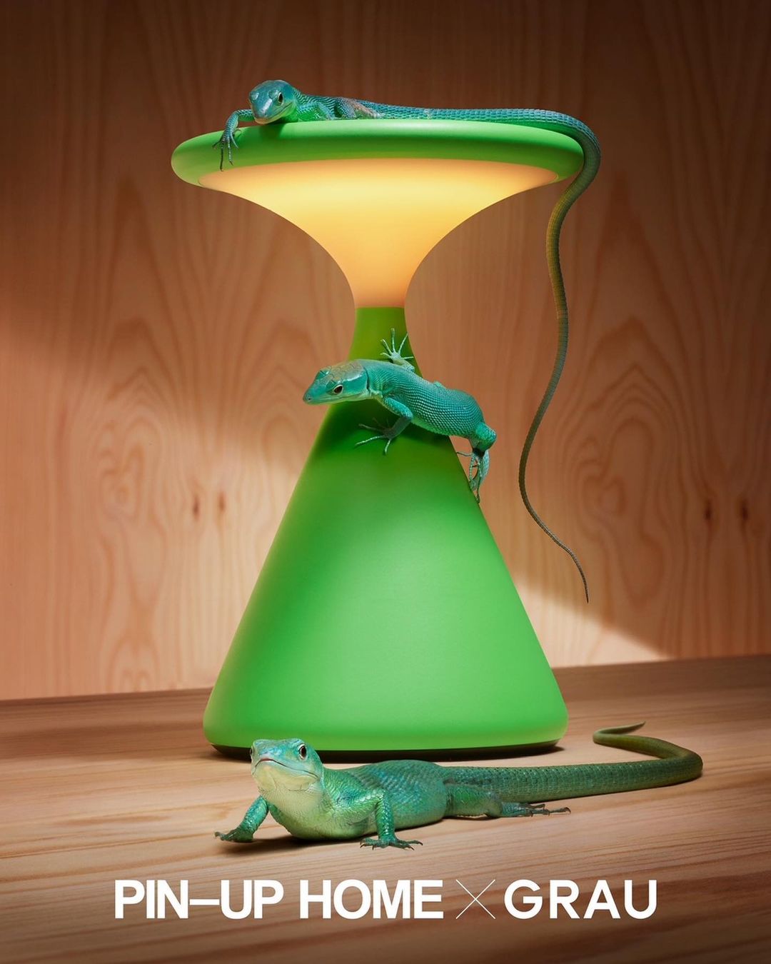 PIN-UP HOME |  Nov. 23