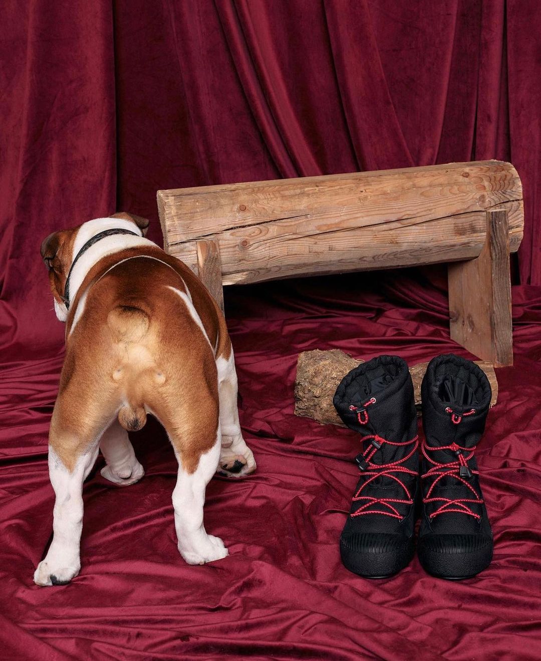 Moon Boot |  Dec. 23