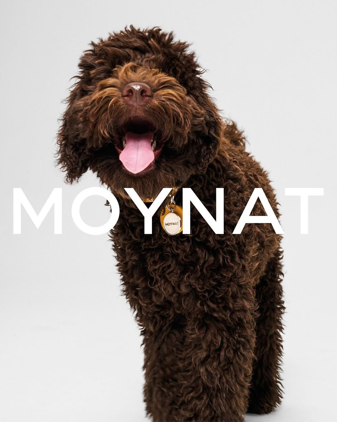 Lukas Wassmann X MOYNAT Jul. 25