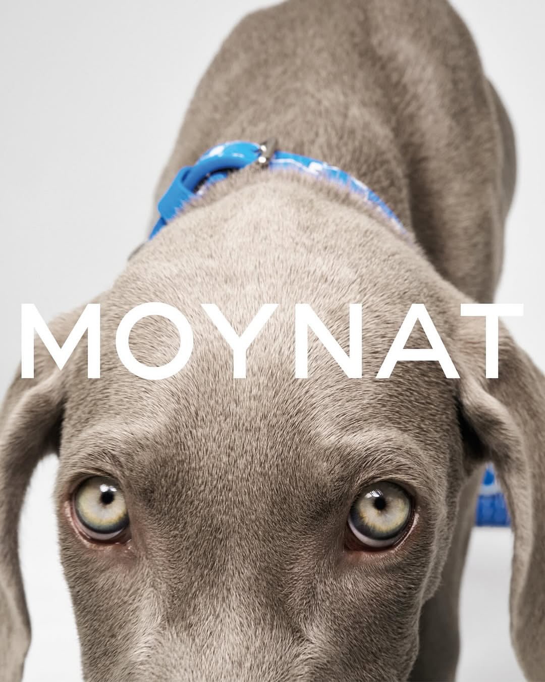 Lukas Wassmann X MOYNAT Jul. 25