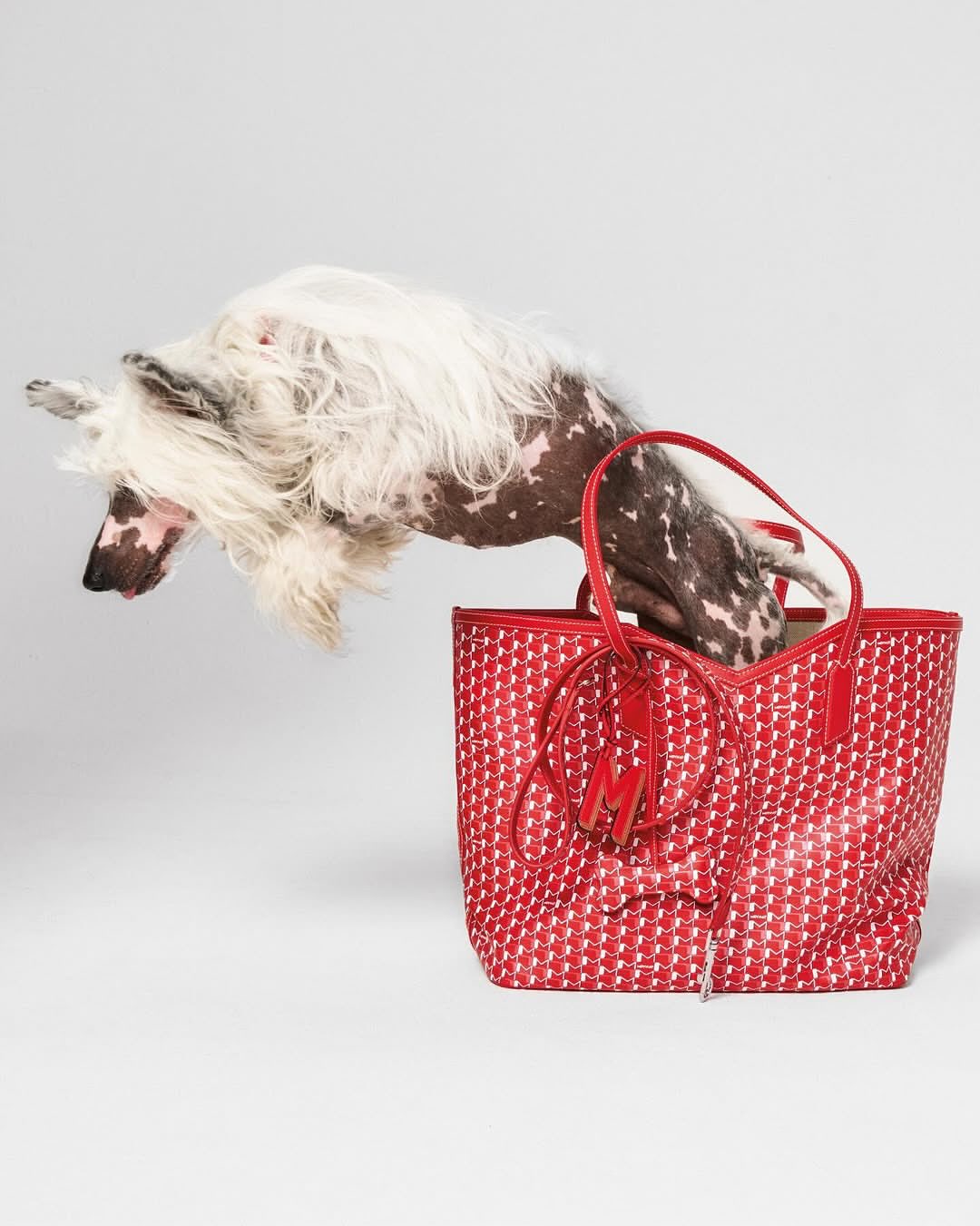 Lukas Wassmann X MOYNAT Jul. 25