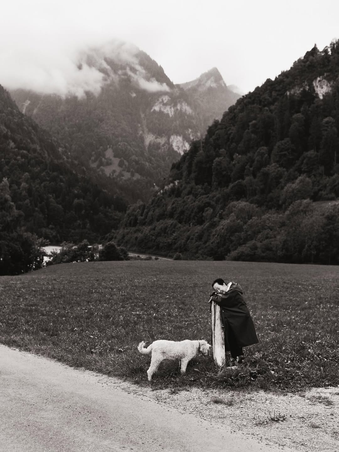 Brett Lloyd X SCENERY