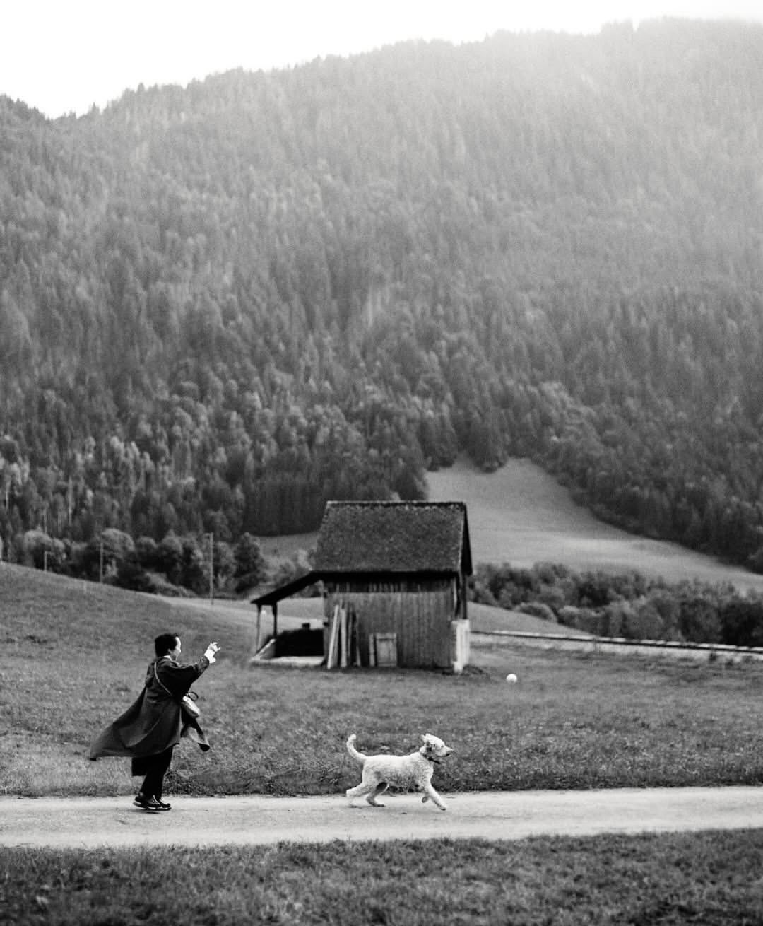 Brett Lloyd X SCENERY