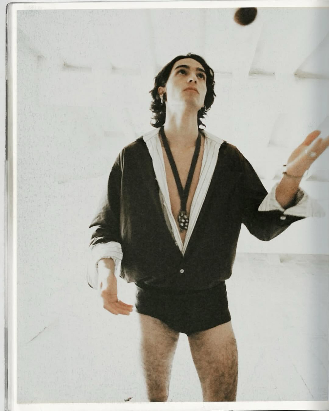 Brett Lloyd X Dandelion 1989