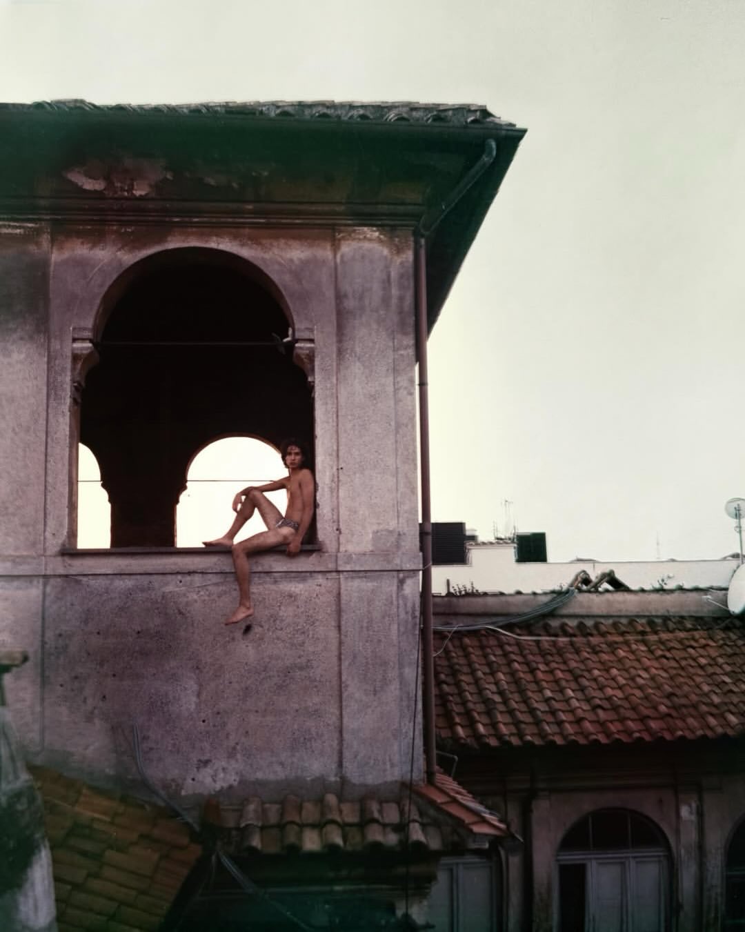 Brett Lloyd X Dandelion 1989