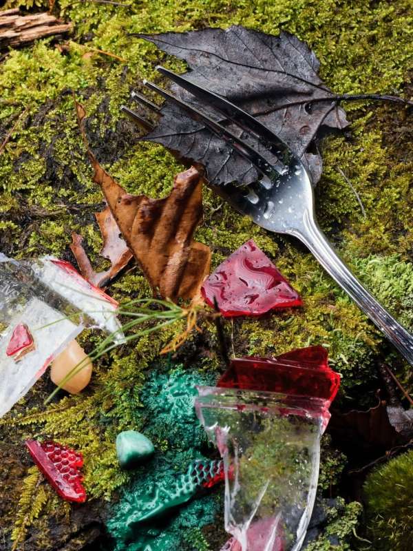 David Brandon Geeting