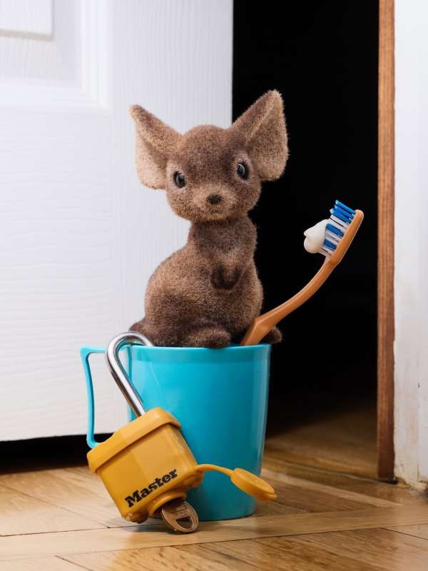 David Brandon Geeting