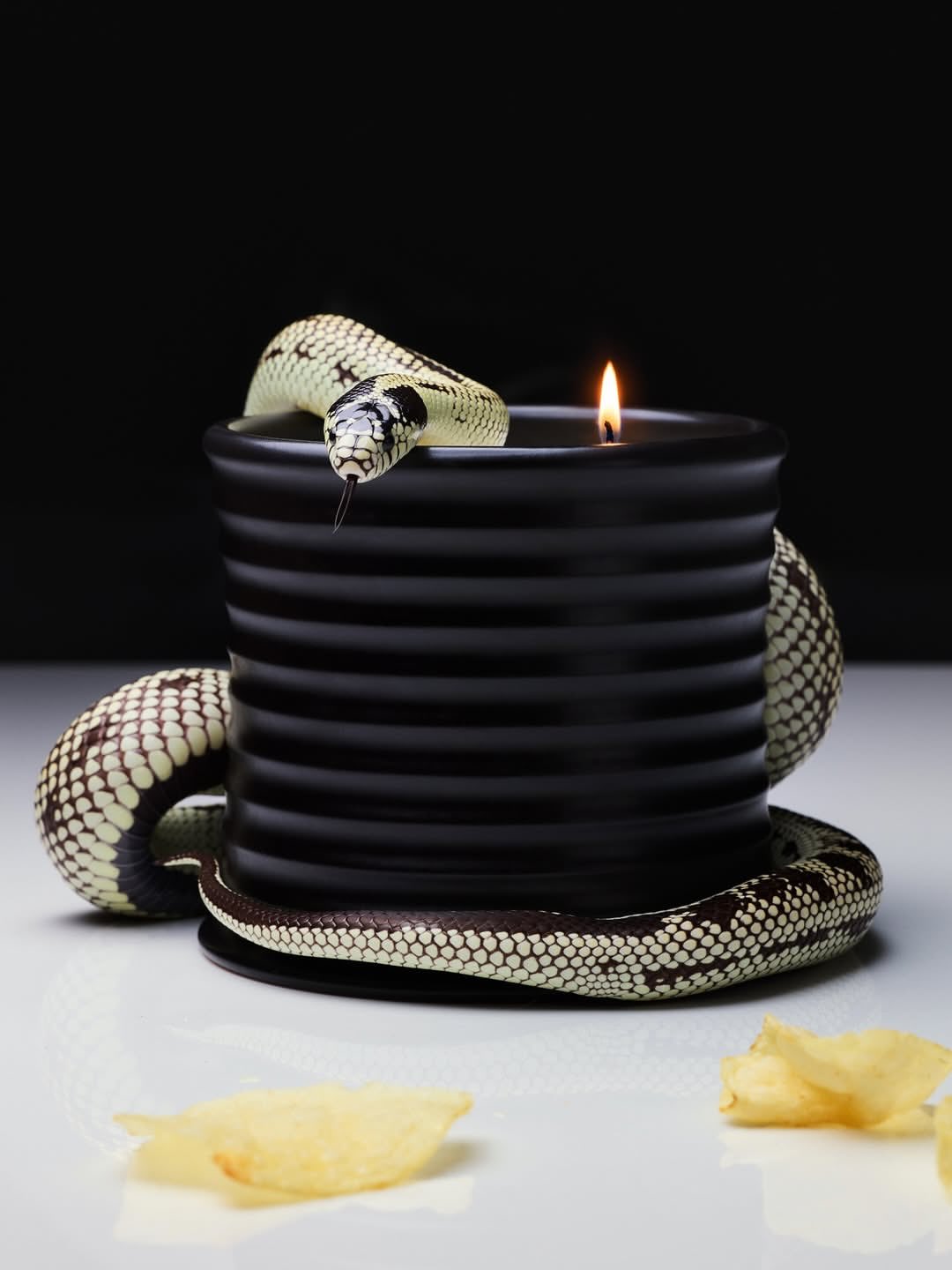 David Brandon Geeting X Novembre Global