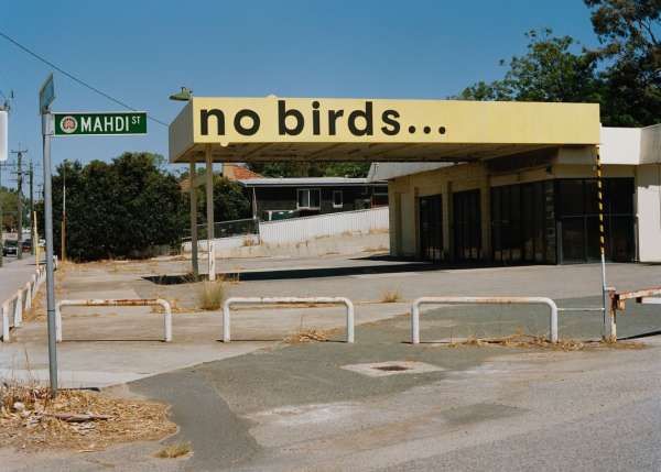 No Birds