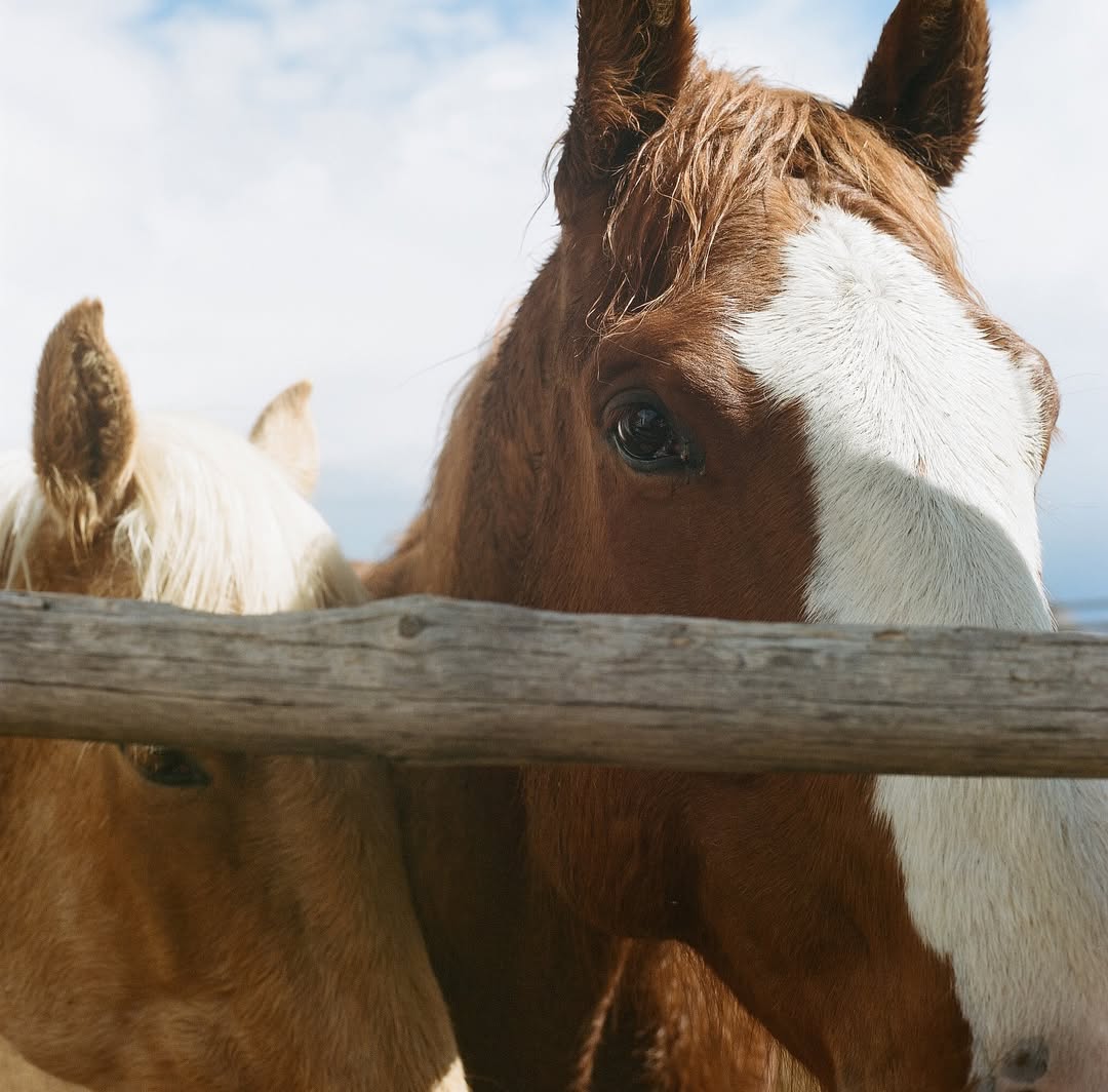 Travis Gillett Nov. 25