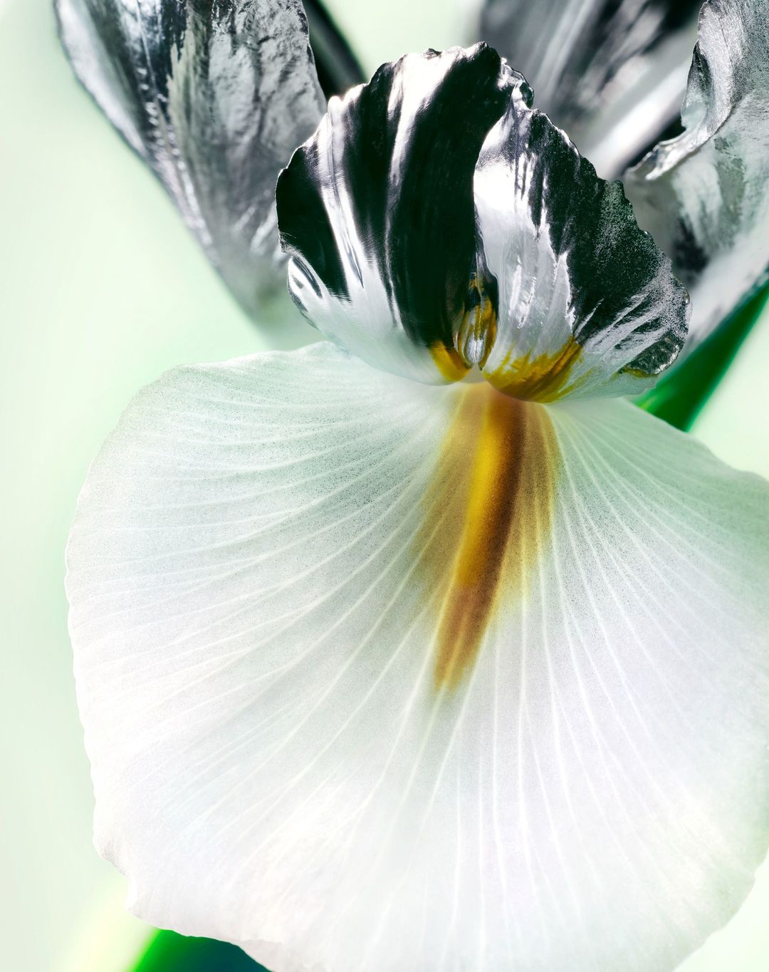 Exhibition Magazine |  Nov. 22