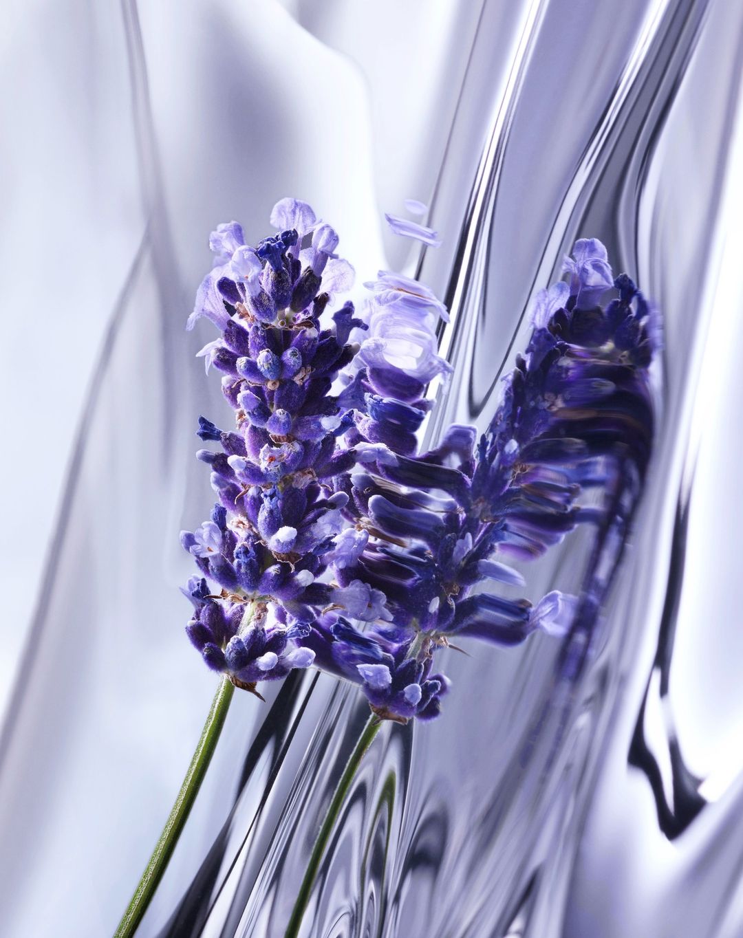 Exhibition Magazine |  Nov. 22