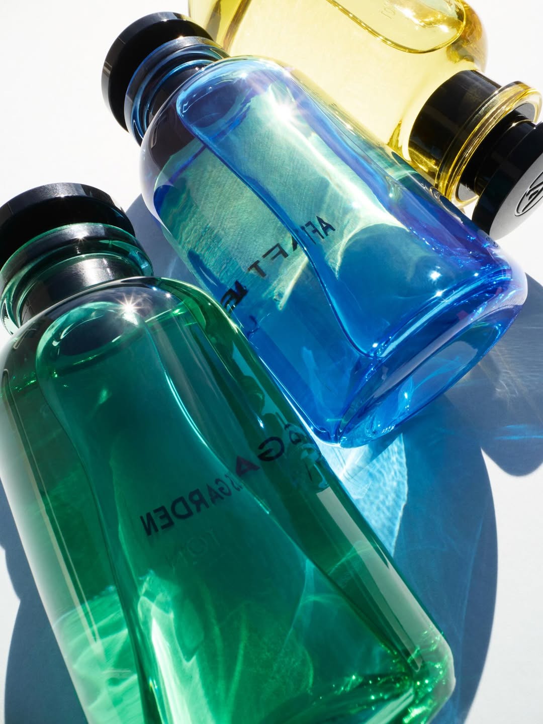 Ulysse Frechelin Nov. 25