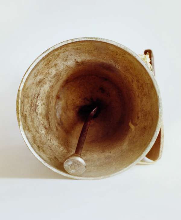 Jasmina Martiradonna